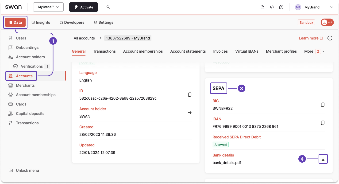 Screenshot of the Dashboard Accounts SEPA section
